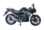 lifan kpr 165 carburetor green